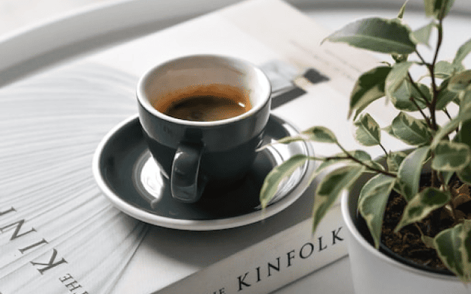 写真:本の上にコーヒーが乗っています。横には観葉植物が有ります